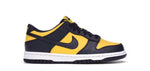 Michigan Dunk Low